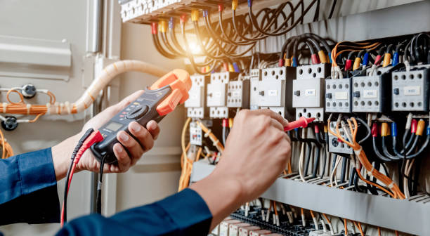 Best Electric Panel Repair  in Fussels Corner, FL